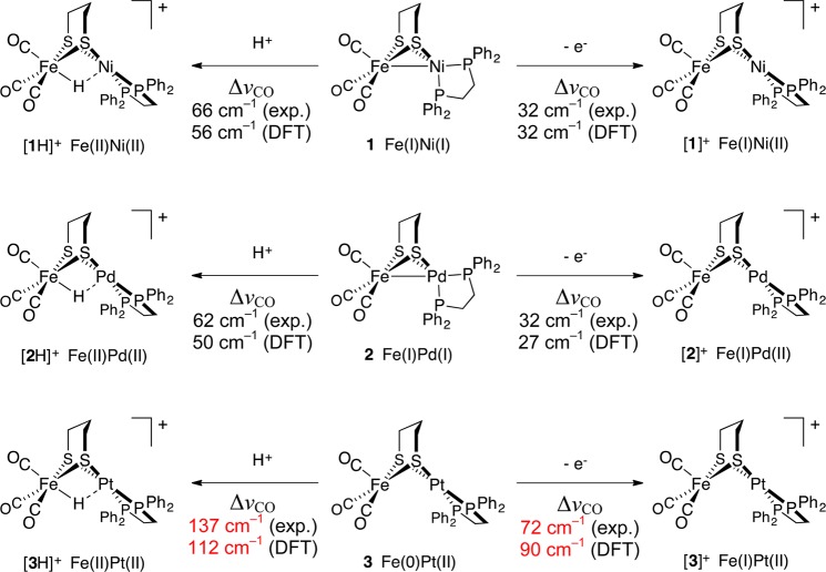 Scheme 3