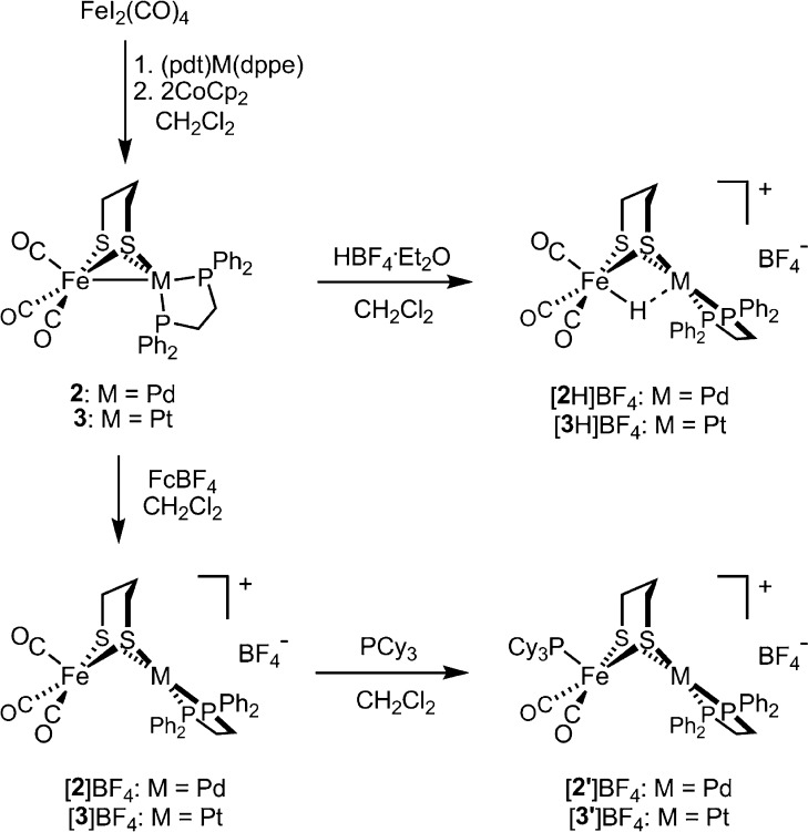 Scheme 2