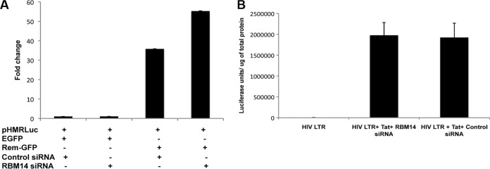 FIG 5