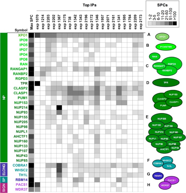 FIG 1