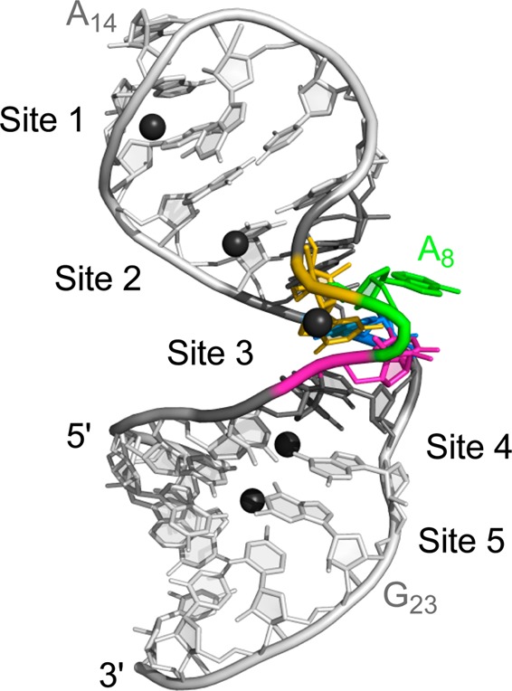 Figure 4