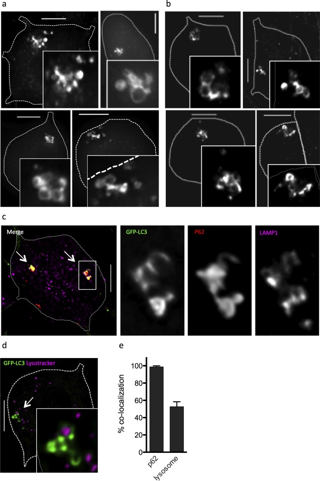 FIG 3