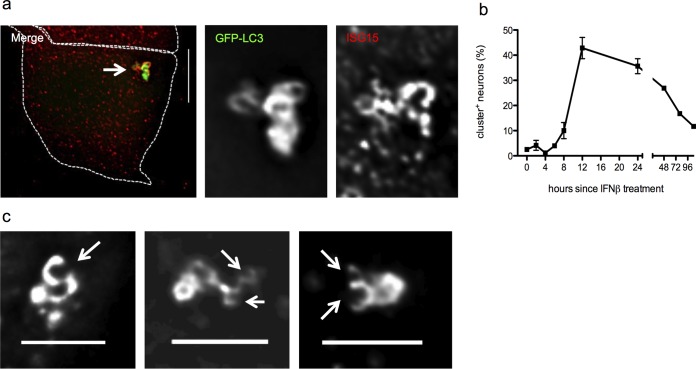 FIG 6