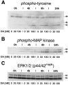 Fig. 9.