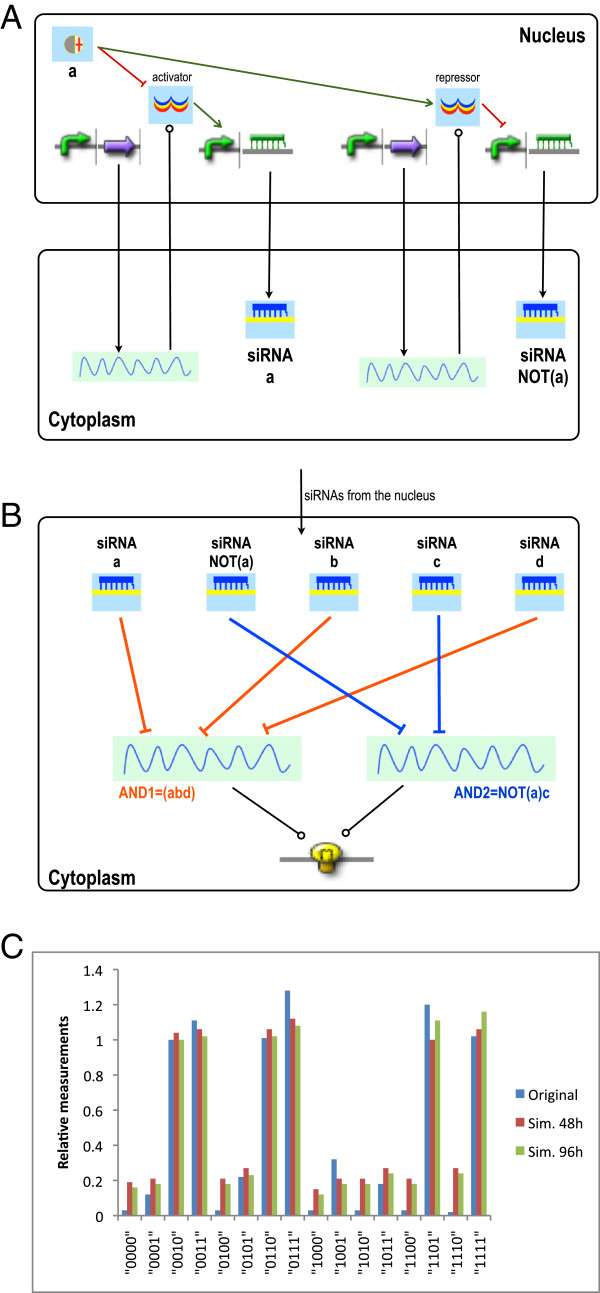 Figure 5