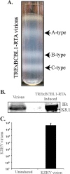 FIG 1