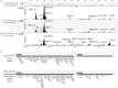 FIG 8