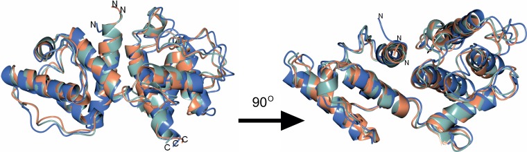 Figure 7