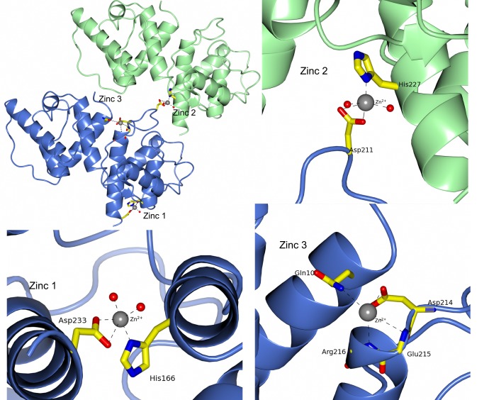 Figure 11