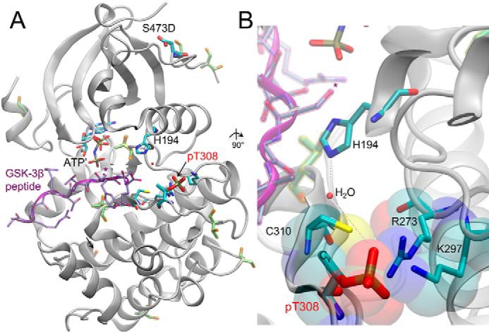 Figure 6.