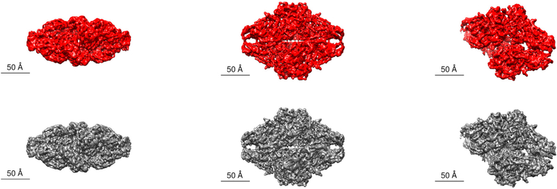 Fig. 8.