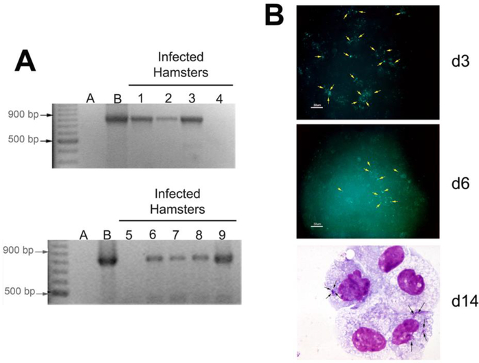 Figure 3.