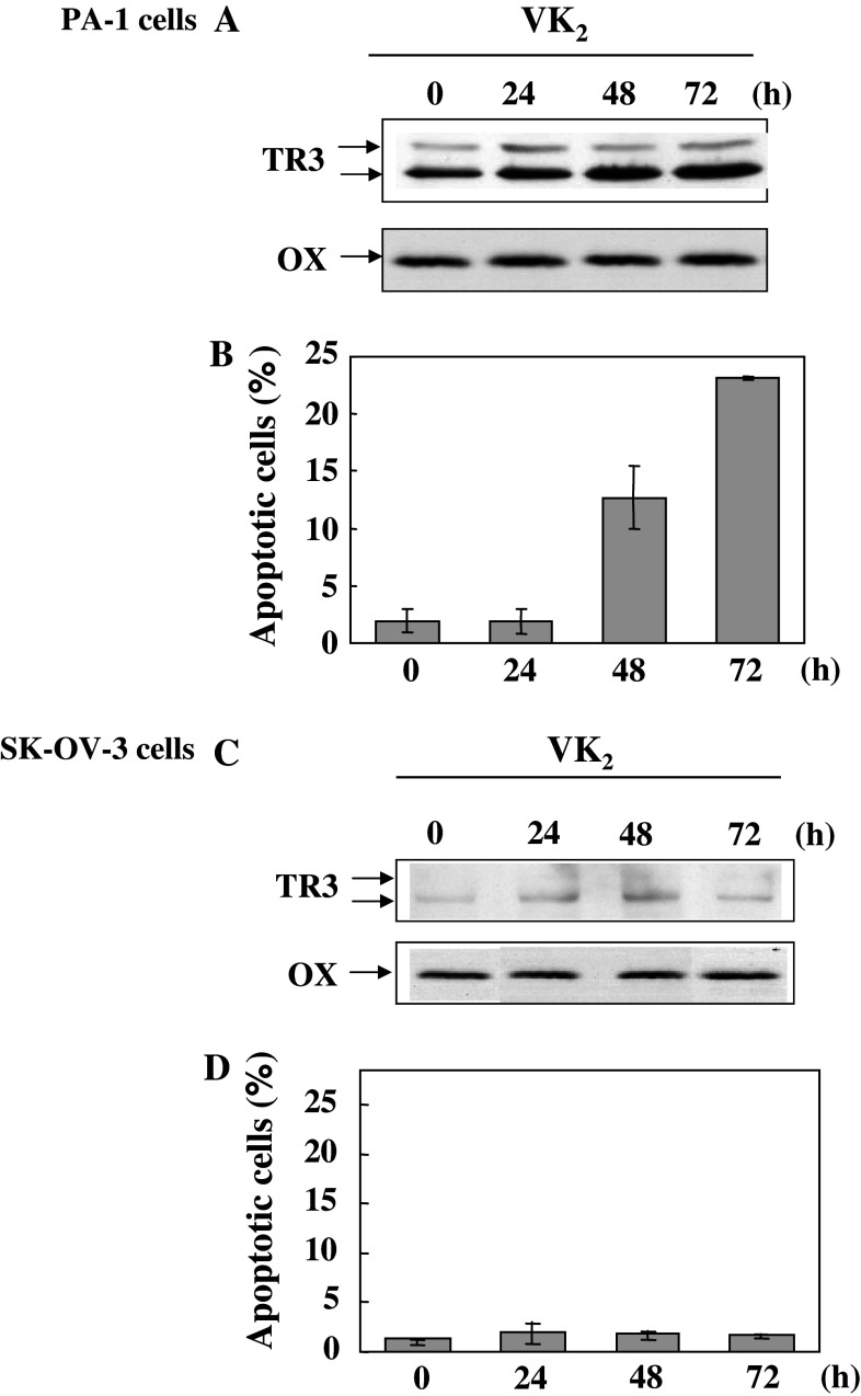 Fig. 6