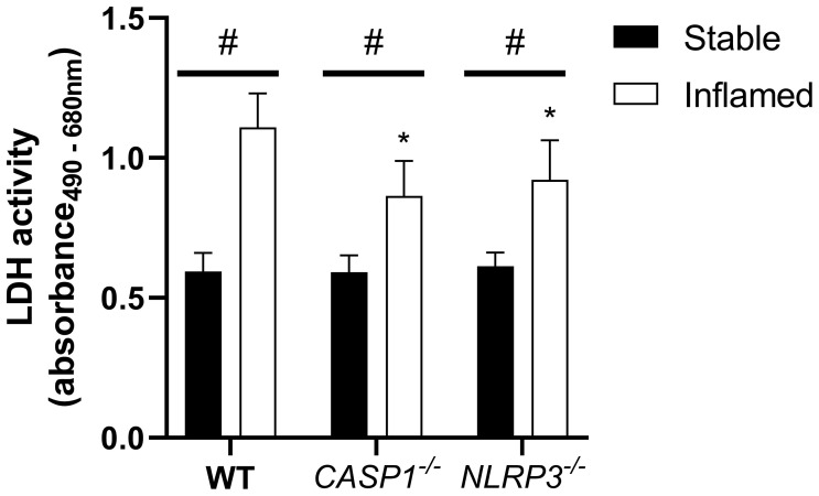 Figure 3