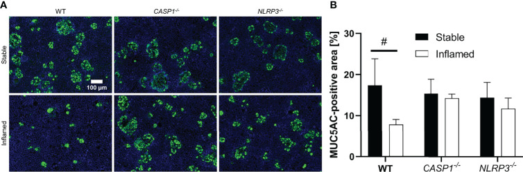 Figure 6