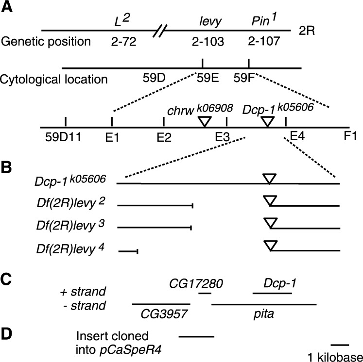 Figure 1.—