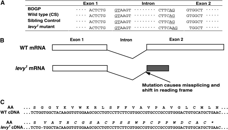 Figure 2.—