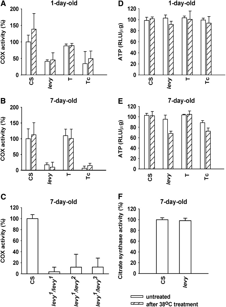 Figure 3.—