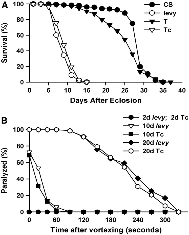 Figure 4.—