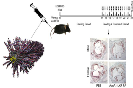 graphic file with name nihms-1029113-f0001.jpg