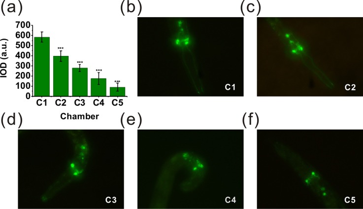 FIG. 7.