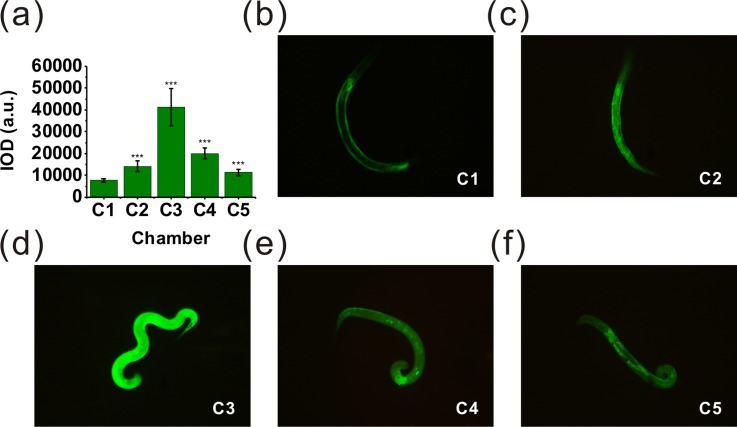 FIG. 8.