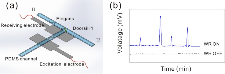 FIG. 2.