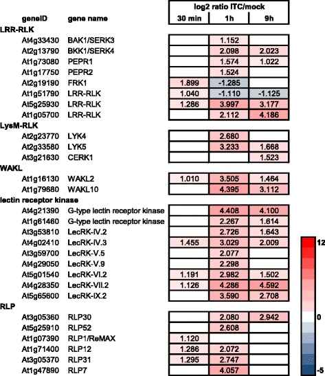 Fig. 10