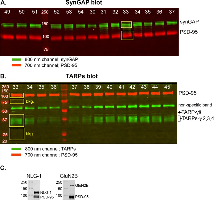 Figure 2—figure supplement 1.