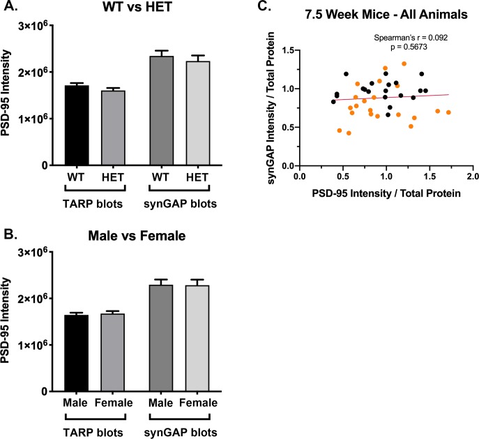 Figure 3—figure supplement 1.