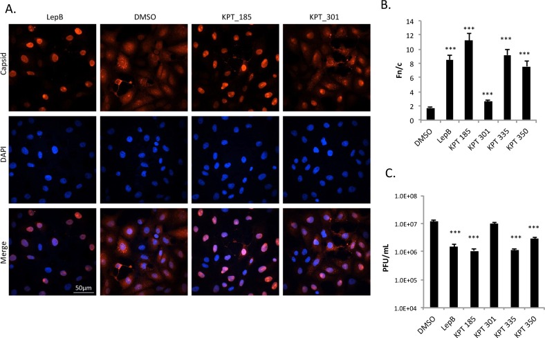 Fig 6