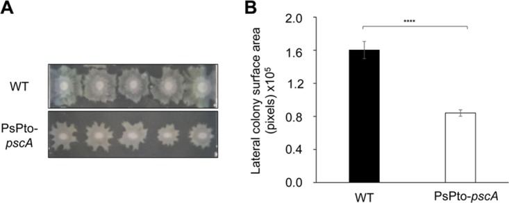 FIG 6