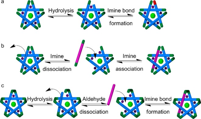 Scheme 5