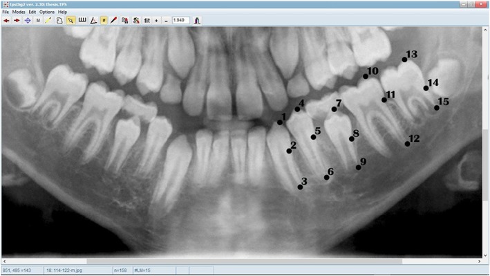 Figure 2