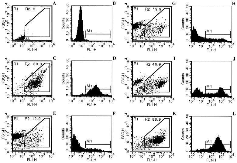 FIG. 6.