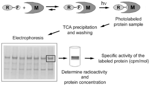 Fig. (1)