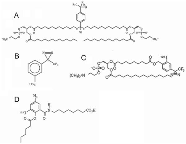 Fig. (2)