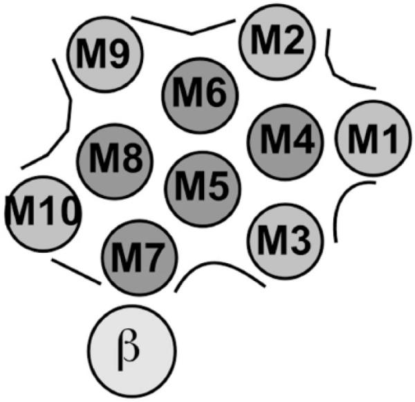 Fig. (9)