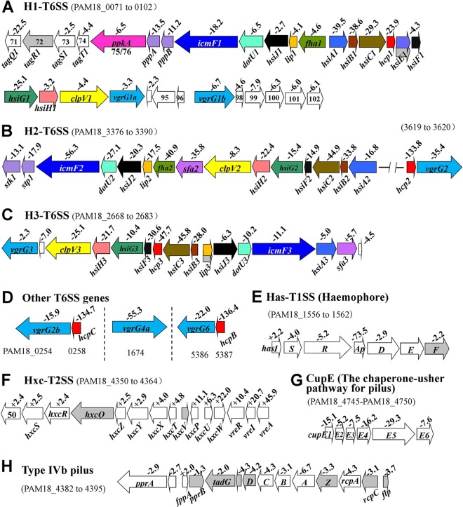 Fig 6