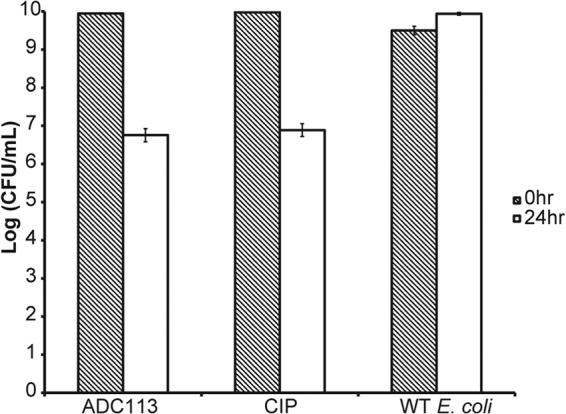 FIG 13