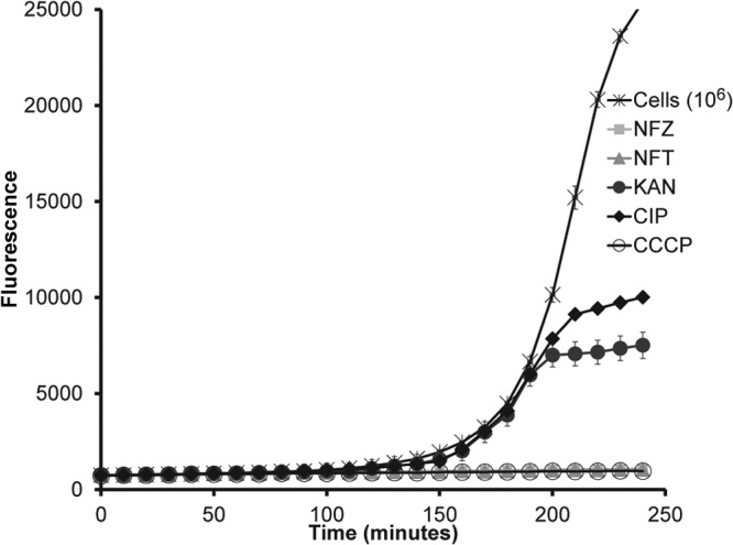 FIG 2