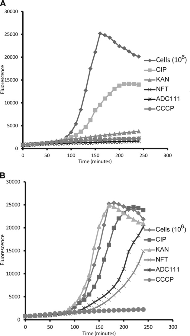 FIG 4