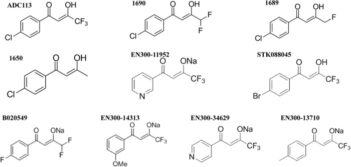 FIG 10