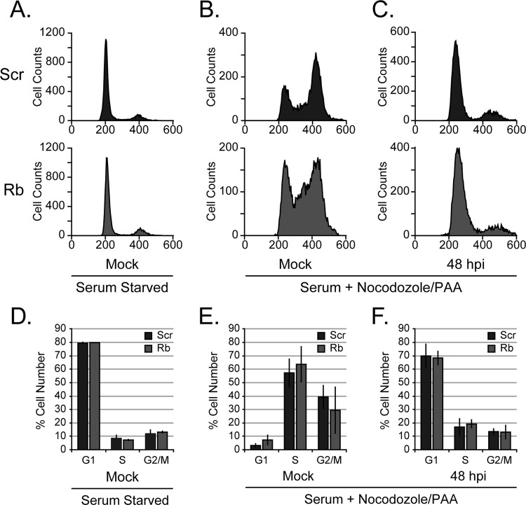 FIG 2