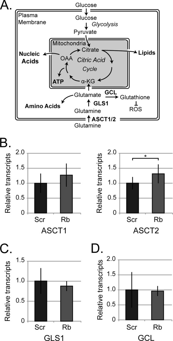 FIG 7