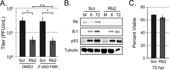 FIG 6