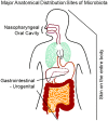 <b>FIG. 1.</b>