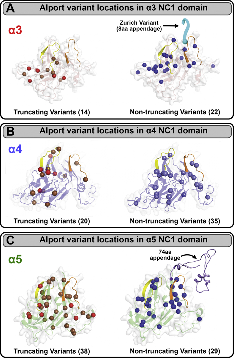 Figure 10