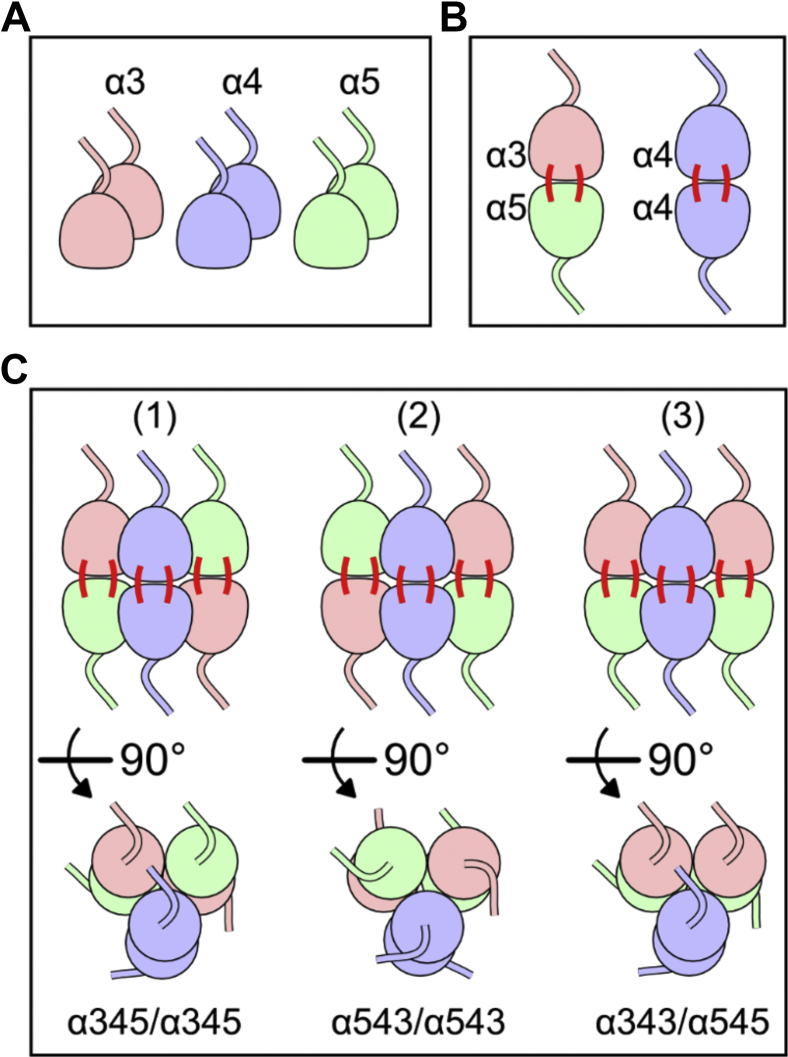 Figure 1