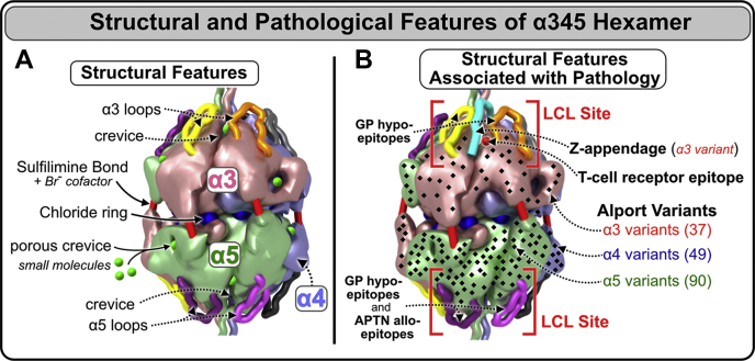 Figure 12